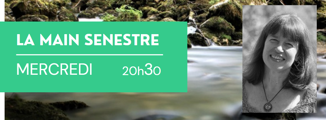 Bannière de l'émission